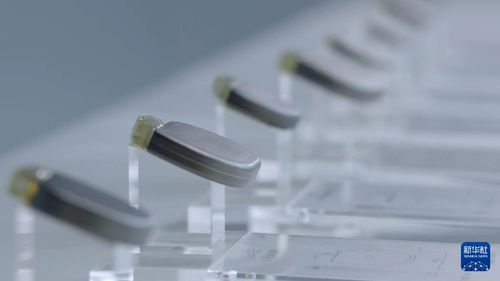 品馳醫(yī)療 讓中國(guó)人用上自己的腦起搏器